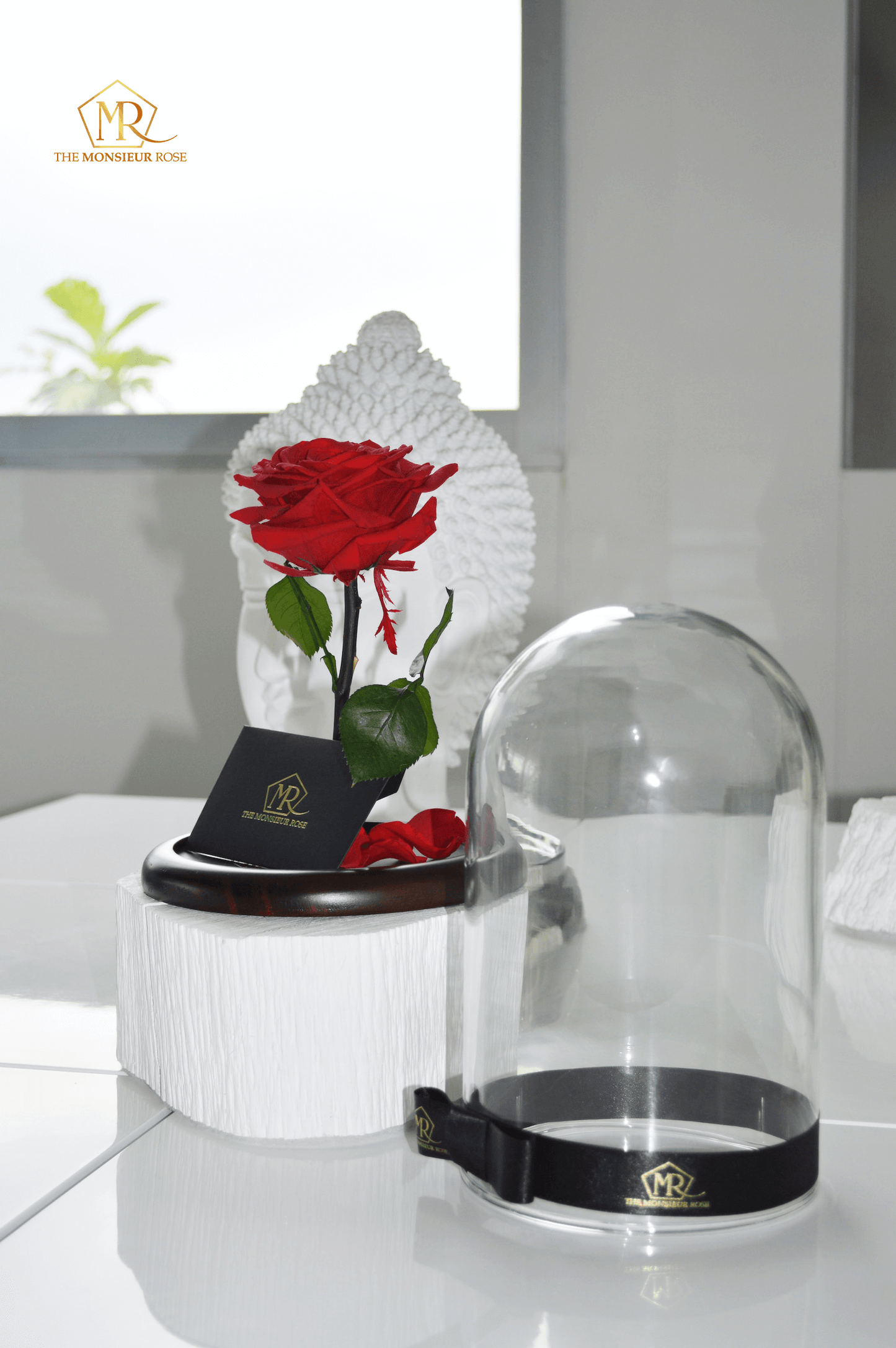 Rosa Eterna Roja | The Monsieur Rose
