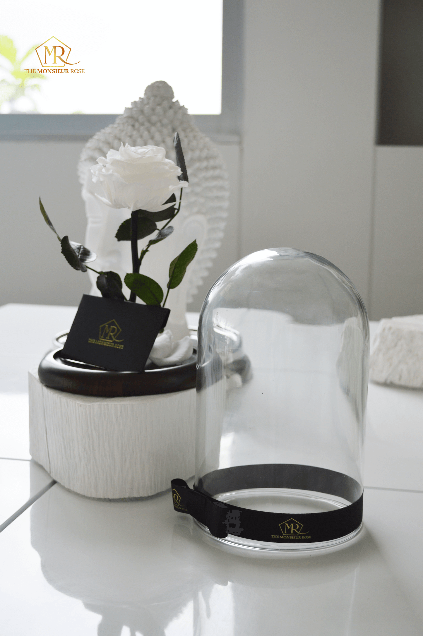 Rosa Eterna Blanca | The Monsieur Rose