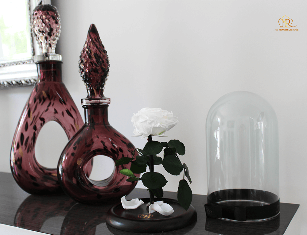 Rosa Eterna Blanca | The Monsieur Rose
