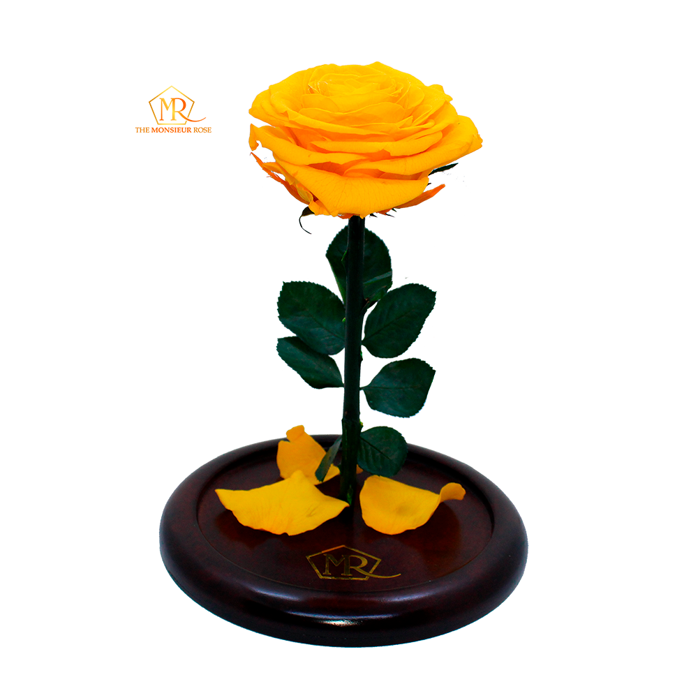 Rosa Eterna Amarilla