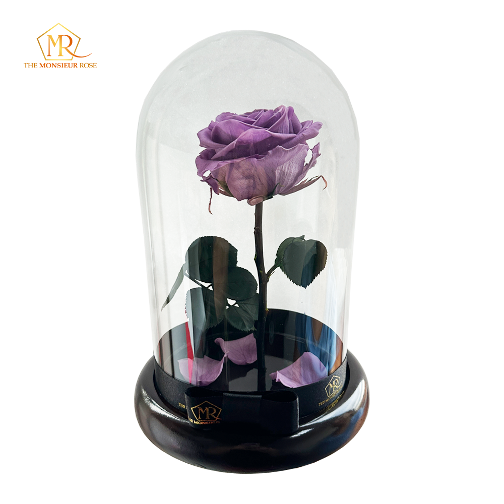 Rosa Eterna Morada