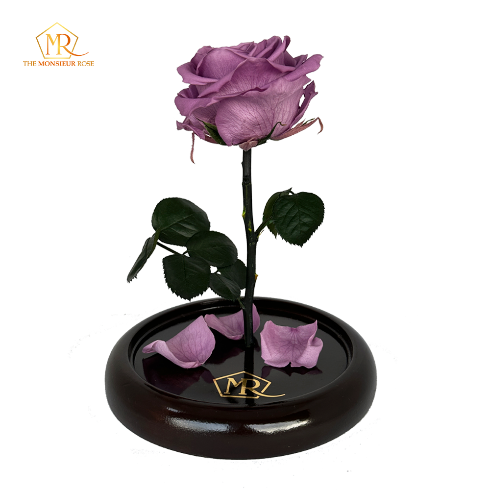 Rosa Eterna Morada