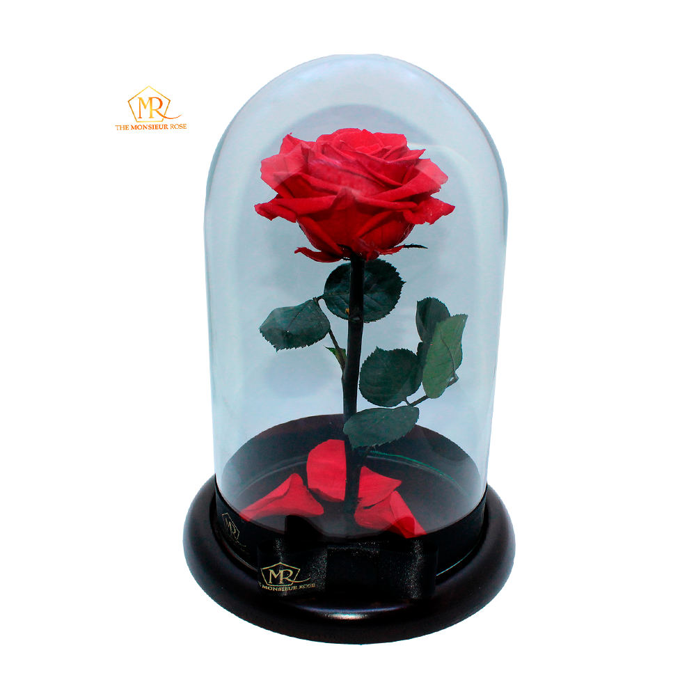 Rosa Eterna Roja