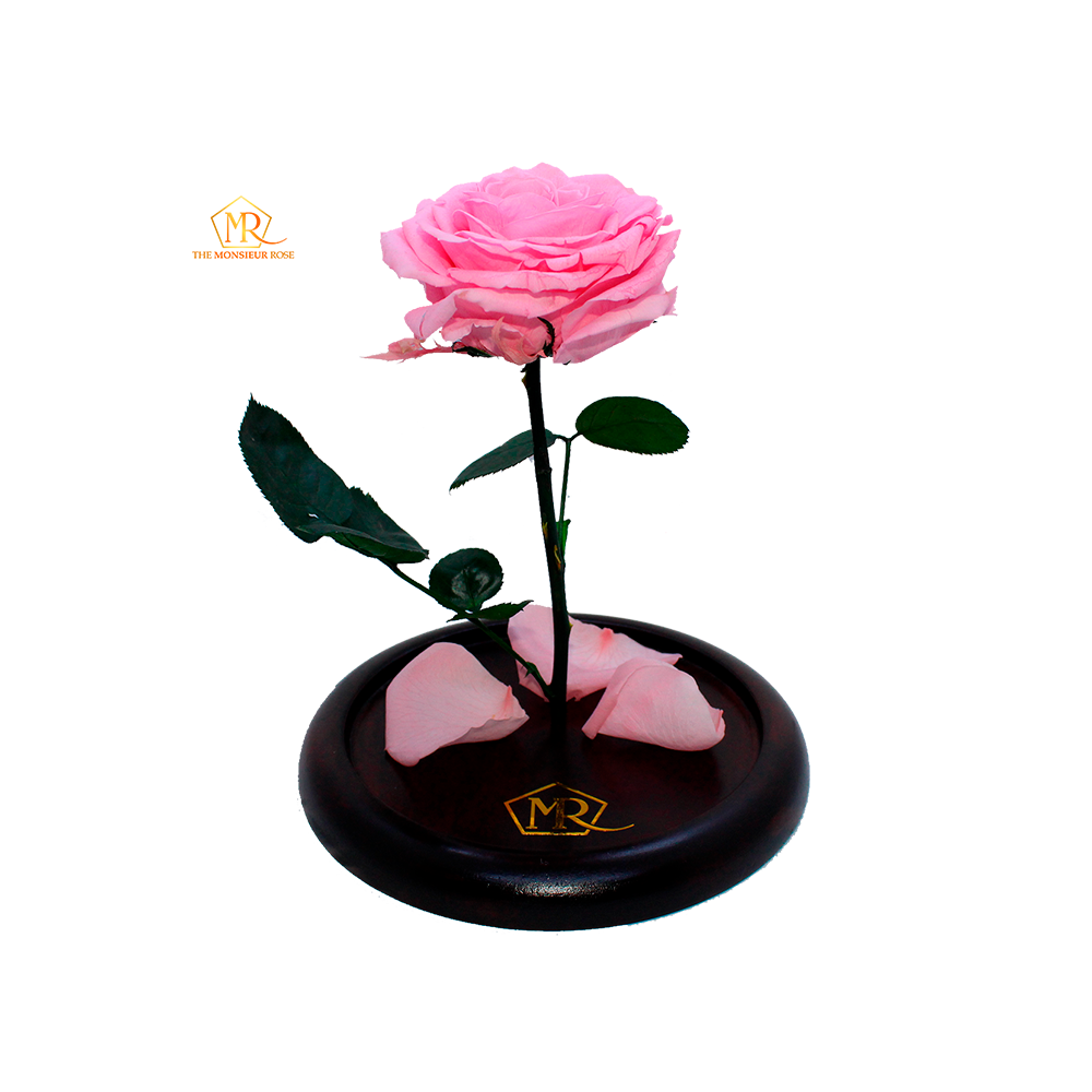 LURLEEZ Rosa eterna para siempre, rosas eternas, flores eternas, rosas  eternas, para el día de la madre, flores eternas para el día de San  Valentín