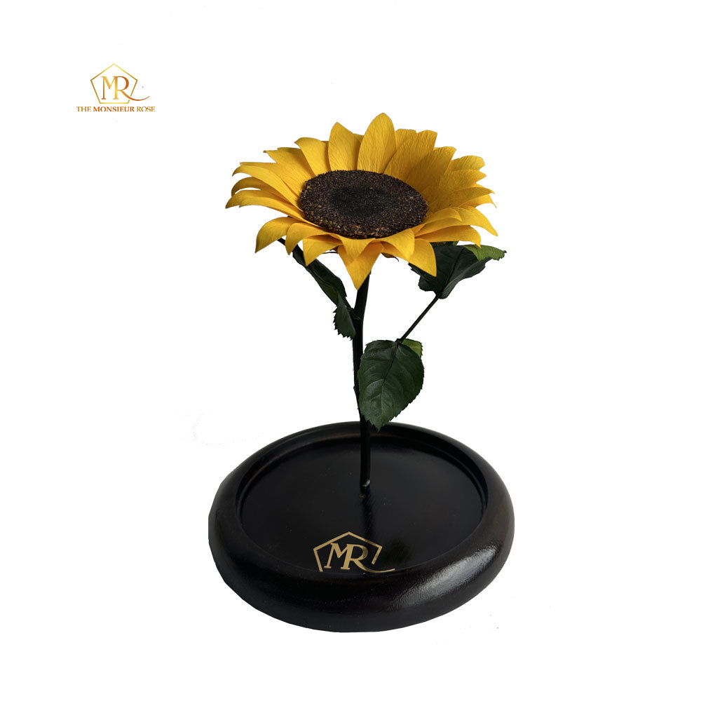 Girasoles Eternos