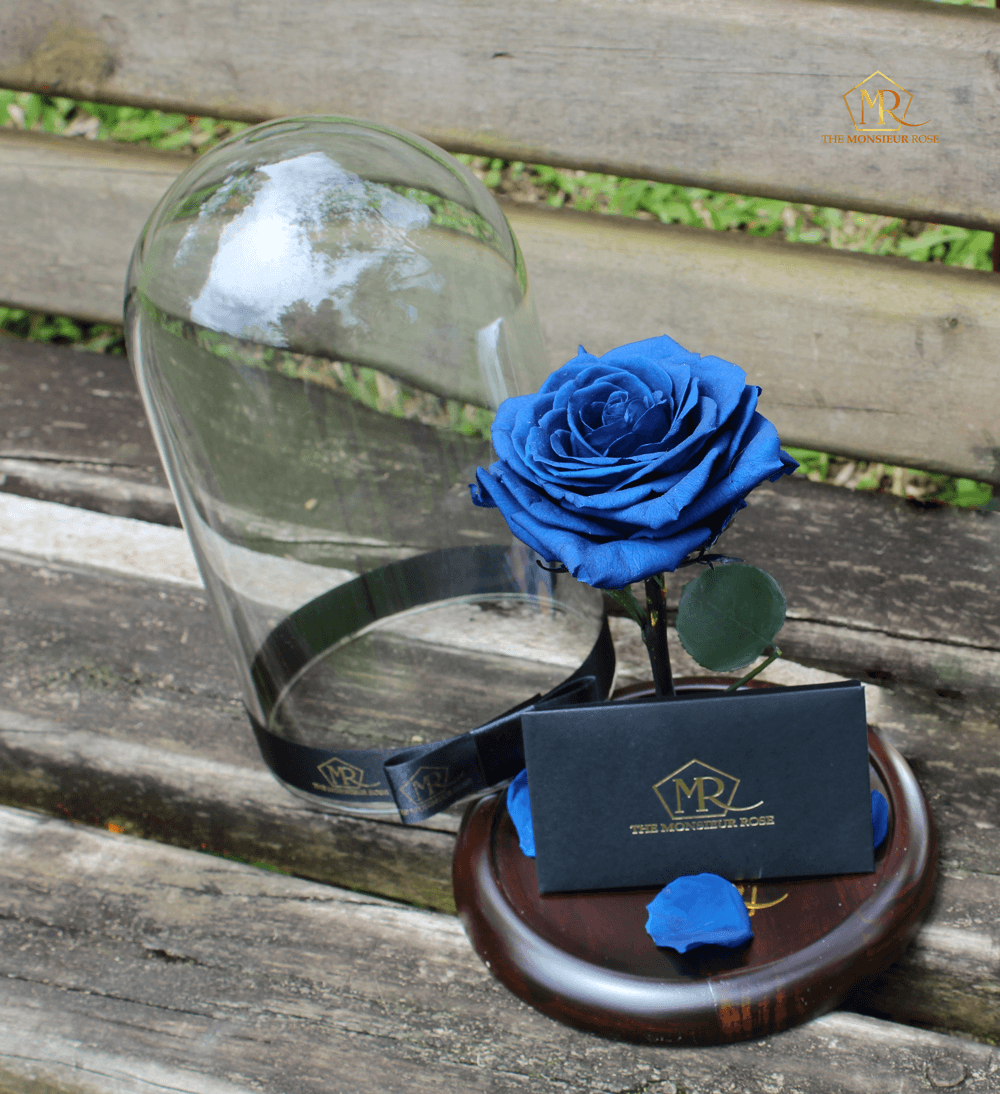 Rosa Eterna Azul | The Monsieur Rose