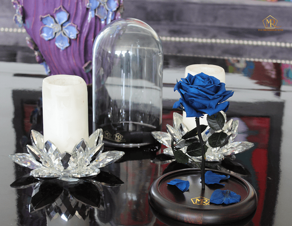 Rosa Eterna Azul | The Monsieur Rose 