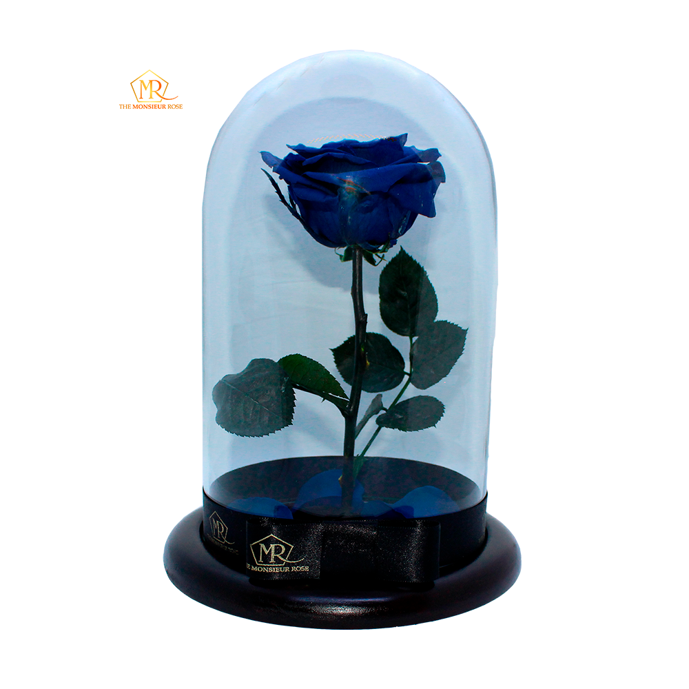 Rosa Eterna Azul