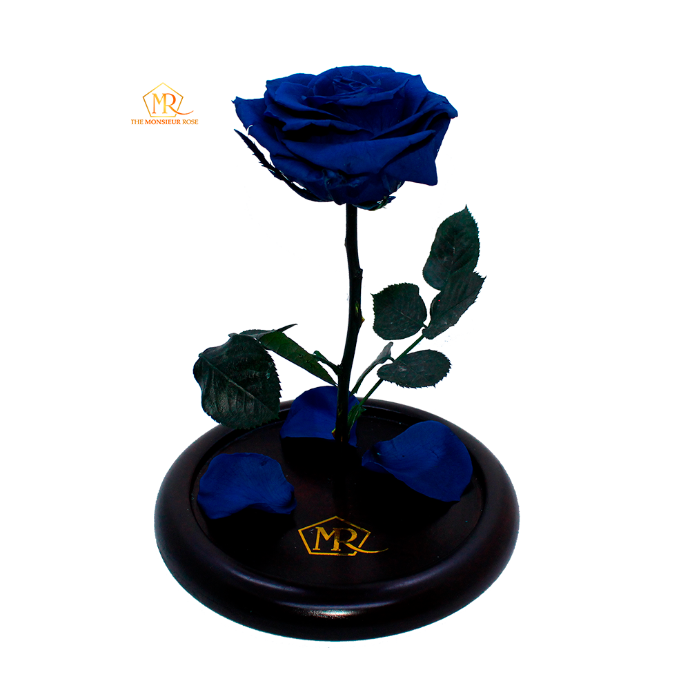 Rosa Eterna Azul
