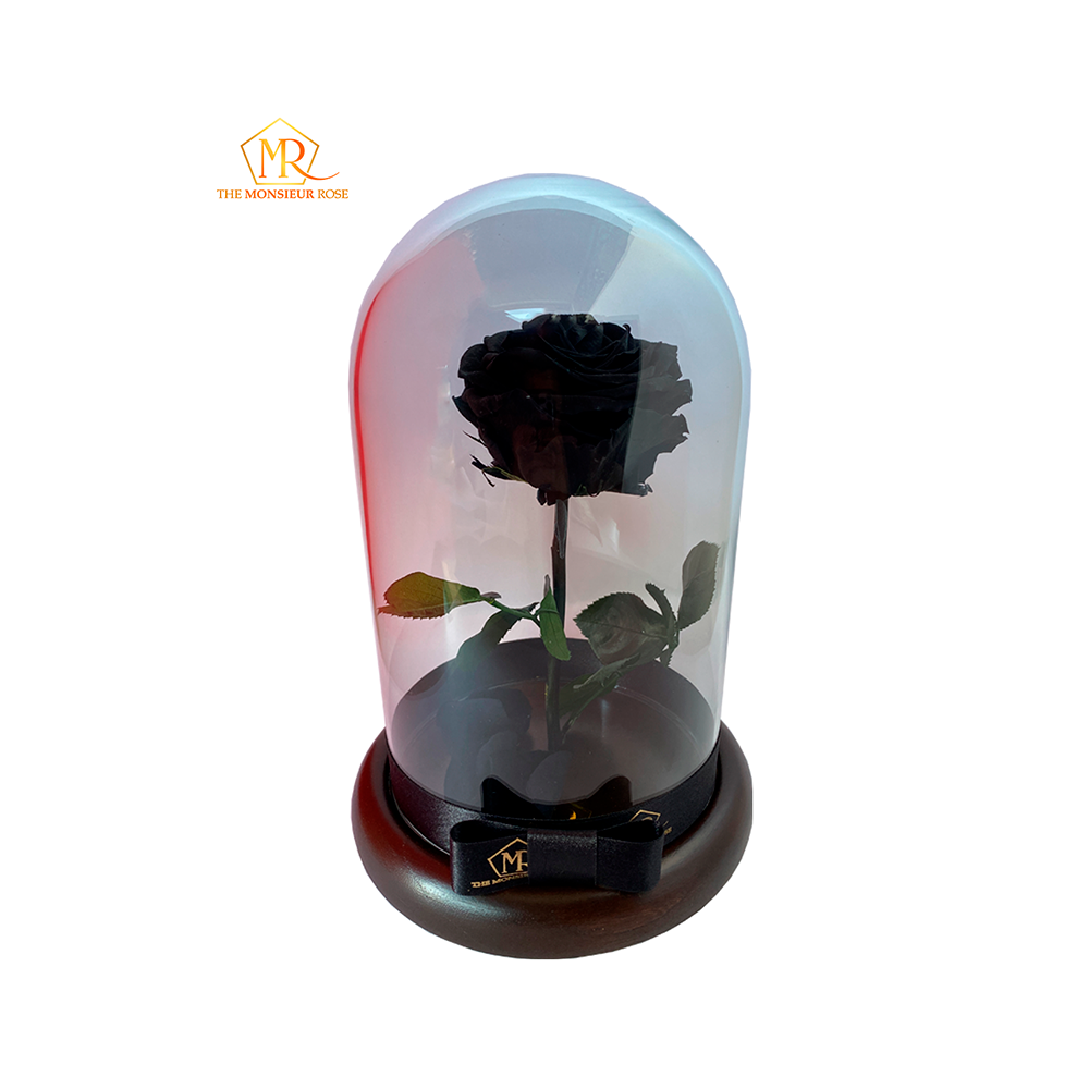 Rosa Eterna Negra