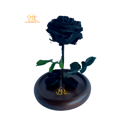 Rosa Eterna Negra